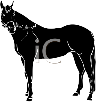 Horse Clipart