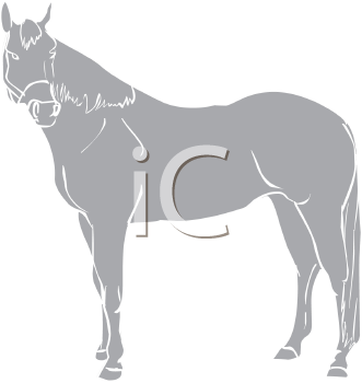 Horse Clipart