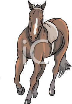 Horse Clipart