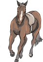 Horse Clipart