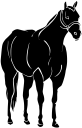 Horse Clipart