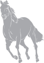 Horse Clipart