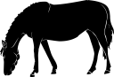 Horse Clipart