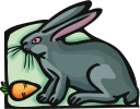 Carrot Clipart