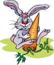 Carrot Clipart