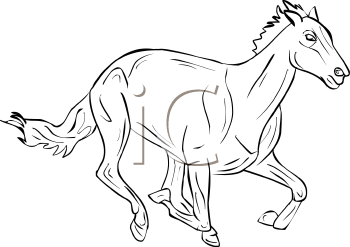 Horse Clipart