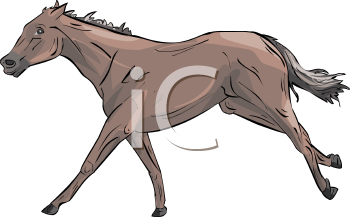 Horse Clipart