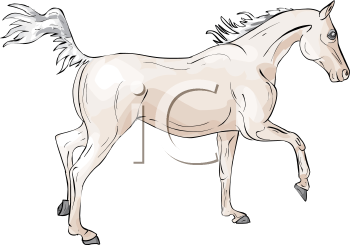 Horse Clipart