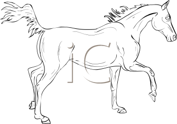 Horse Clipart