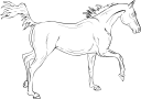 Horse Clipart