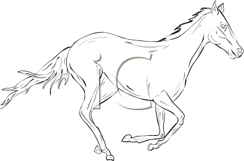 Horse Clipart