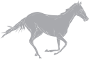 Horse Clipart