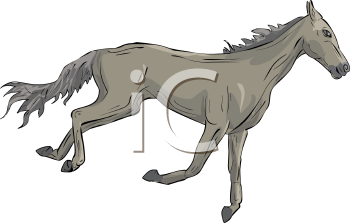 Horse Clipart