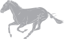 Horse Clipart