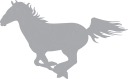 Horse Clipart