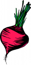 Vegetables Clipart