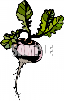 Vegetables Clipart