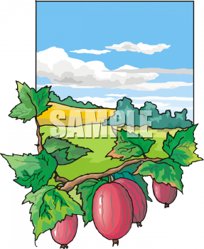 Produce Clipart