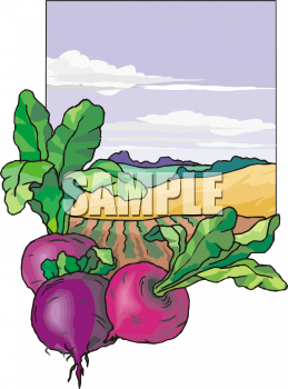 Produce Clipart