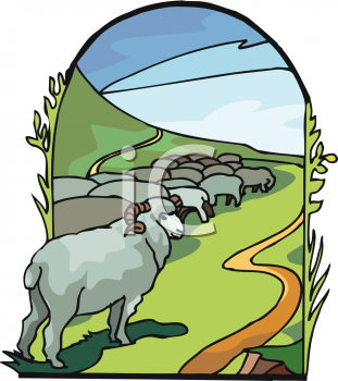 Sheep Clipart