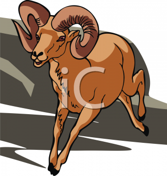 Sheep Clipart