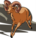 Sheep Clipart