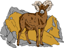 Sheep Clipart