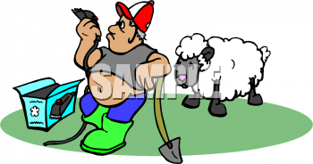 Sheep Clipart