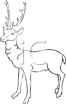 Mammal Clipart