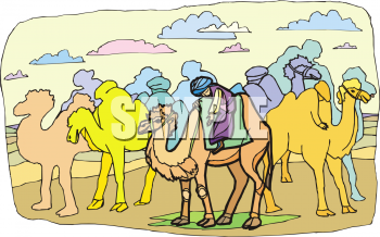 Camel Clipart