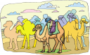 Camel Clipart