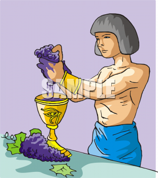 Wine Clipart