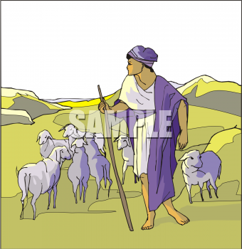 Sheep Clipart