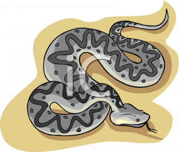 Snake Clipart