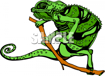 Chameleon Clipart