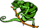 Chameleon Clipart