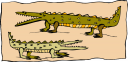 Crocodile Clipart