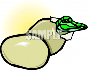 Snake Clipart