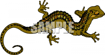 Chameleon Clipart