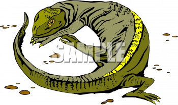 Chameleon Clipart