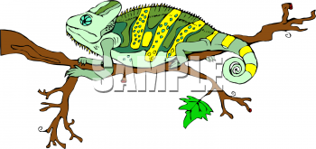 Chameleon Clipart