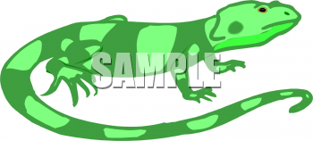 Chameleon Clipart