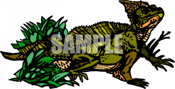 Chameleon Clipart