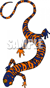 Chameleon Clipart