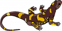 Chameleon Clipart