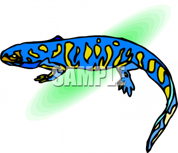 Chameleon Clipart