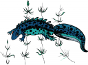 Chameleon Clipart