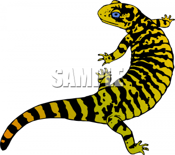 Chameleon Clipart