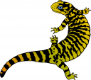 Chameleon Clipart