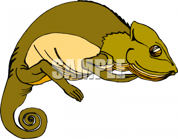 Chameleon Clipart